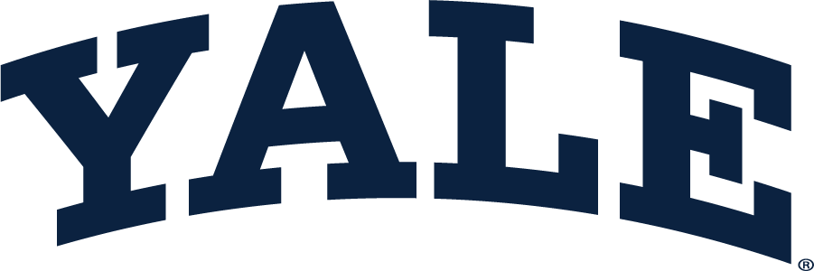 Yale Bulldogs 1935-Pres Wordmark Logo v2 DIY iron on transfer (heat transfer)